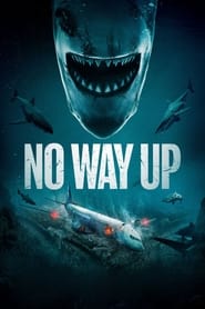 No Way Up (2024) [Tam + Tel + Hin + Eng]